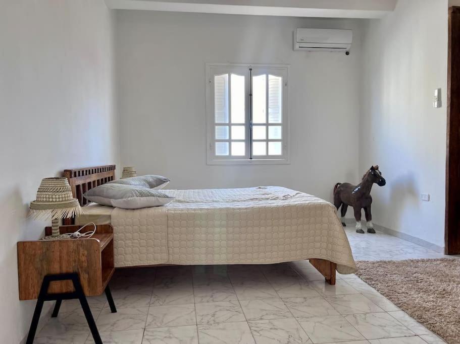 Dar Zakaria Toursitic Area Apartment Tozeur Ngoại thất bức ảnh
